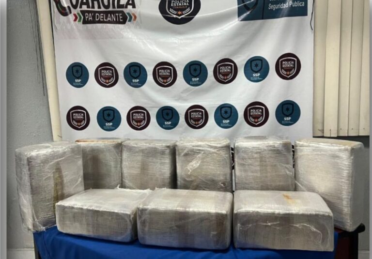 Asegura policía estatal 100 kg de marihuana