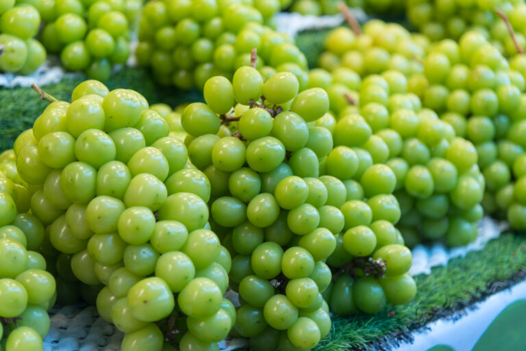 Deja precio de uva sin propósitos a mexicanos