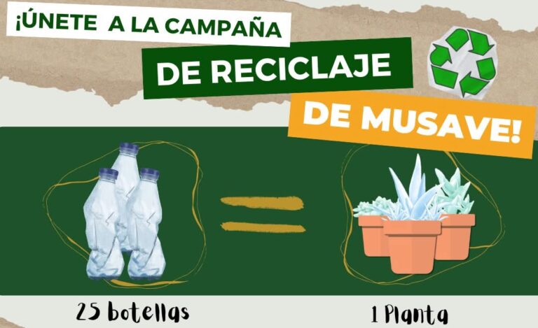 Invita MUSAVE este fin de semana a su última campaña de reciclaje de 2024