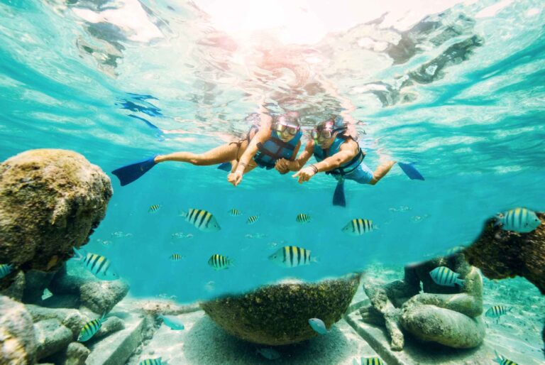 De Cerca con los Delfines: Una Experiencia Única en Isla Mujeres