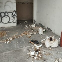 Acaban vándalos con una sección del Bosque Urbano