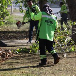 Da mantenimiento Gobierno de Saltillo al Paseo de la Reforma2