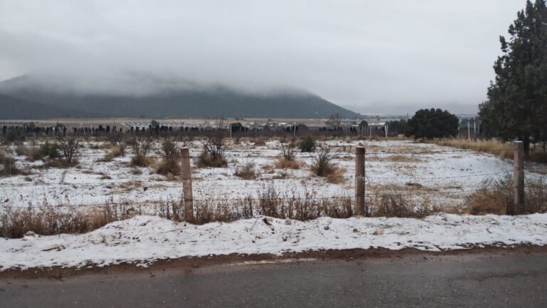 El Gobierno Municipal de Arteaga informa condiciones climatológicas