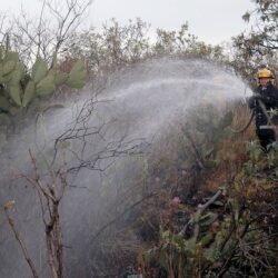 Elementos naturales dificultan el combate de incendios forestales3