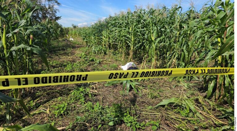 Matan a periodista en Tabasco
