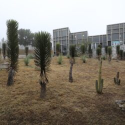 Recibe Madriguera atención integral de Gobierno de Saltillo2