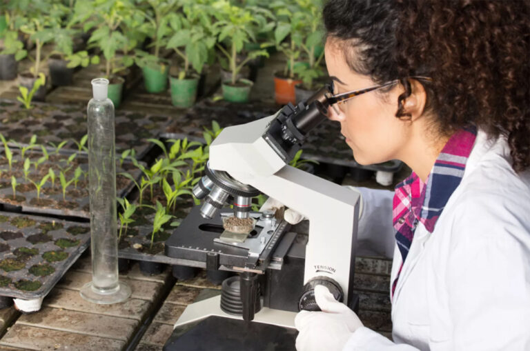 Gracias a los profesionales de la biología es posible comprender a los seres vivos y ecosistemas