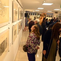 Exhiben en mapas el mundo de los siglos XV y XVI5