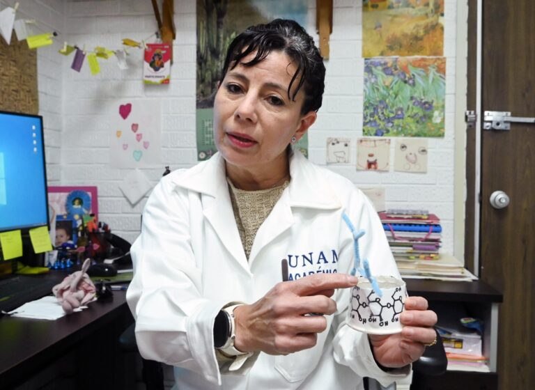 Prueban macromoléculas para mejorar medicamentos