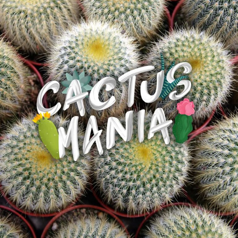 Regresa al MUDE la “Cactusmanía”, obtén un ejemplar de obsequio pagando boleto de adulto