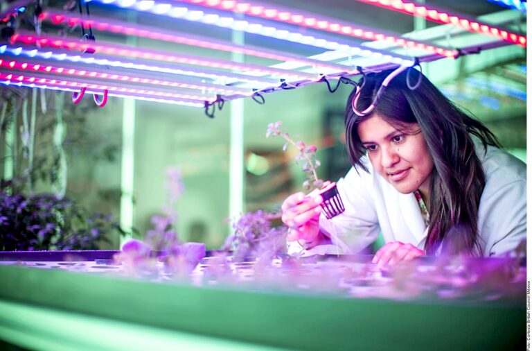 Convocan a mujeres mexicanas a becas en Reino Unido