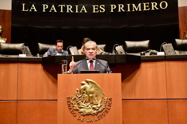 Una reforma energética sin transparencia ni rumbo: Riquelme critica la apuesta del gobierno