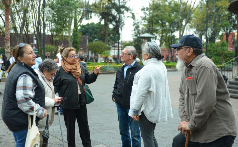 A partir de los 60 años disminuye el volumen del cerebro humano