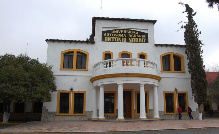 Clausuran venta clandestina de alcohol en la UAAAN