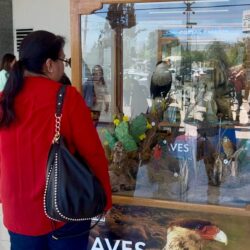 Continúa la exposición 2