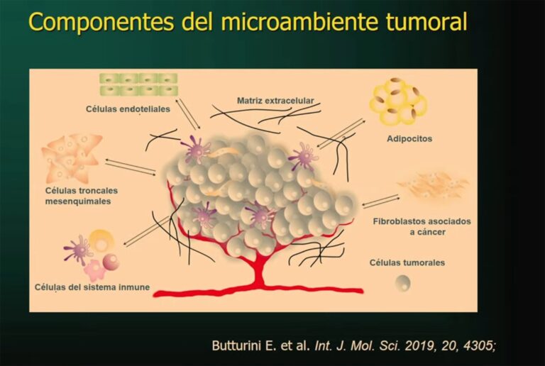 Microambiente tumoral influye en resistencia al tratamiento vs cáncer: Martha Robles Flores