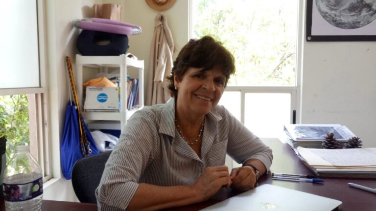 Piden a saltillenses construir jardines de polinizadores en sus casas para proteger a esas especies