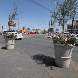 Transforman retorno en espacio para arbolado10