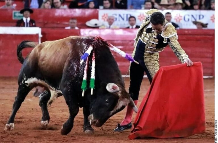 Aprueba la CDMX corridas de toros sin violencia