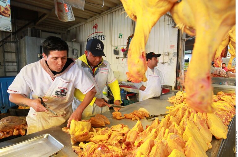 Encarece gripe aviar en EU precio del pollo en México