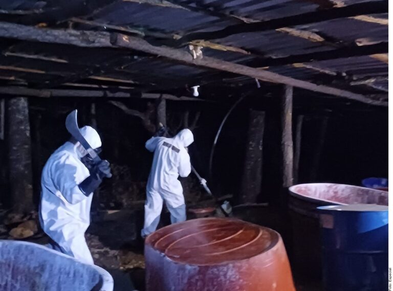 Golpe a ‘Chapitos’ en Zacatecas