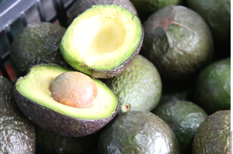 ¿Por qué se disparó en EU el consumo de aguacate?