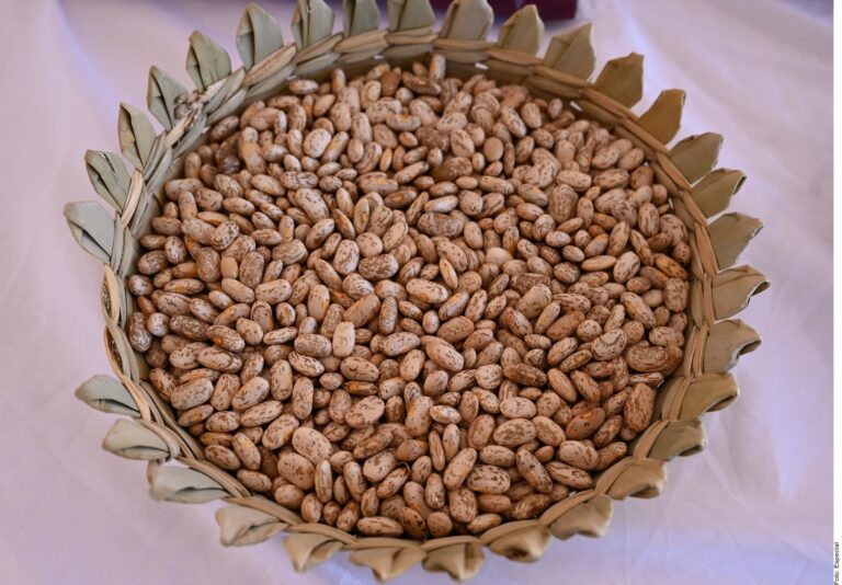 Ahora lanzan el Frijol del Bienestar