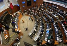 El Senado aprueba la reforma que permite anular elecciones por intervención extranjera