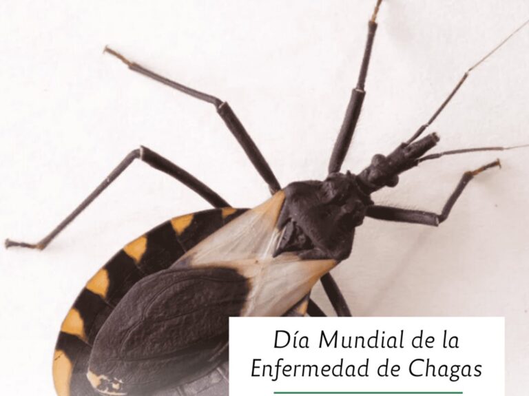 Con IA detectan etapas de la enfermedad de chagas