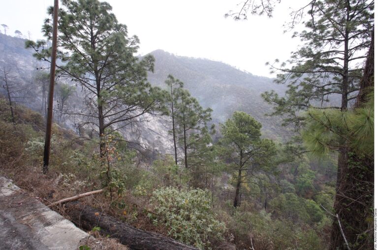 Pese a tragedia, persisten riesgos en NL