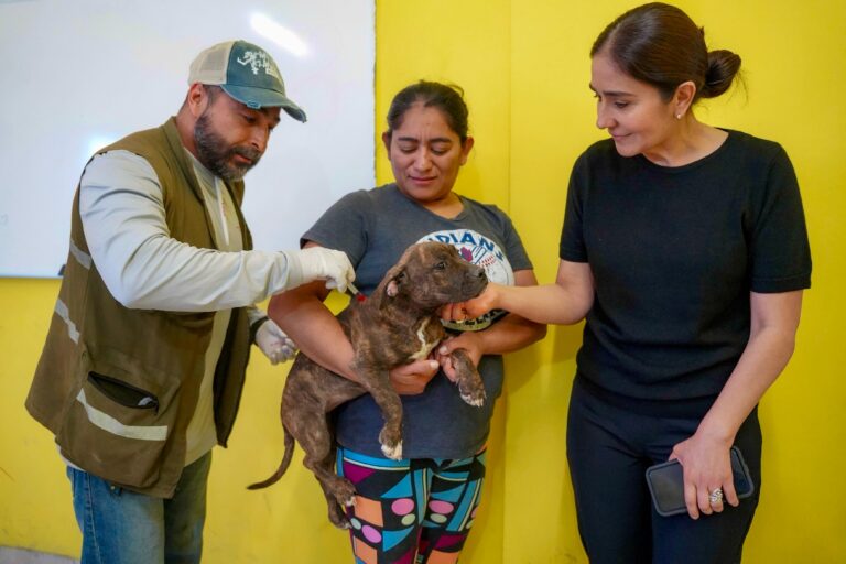 Ramos Arizpe prioriza atención de mascotas