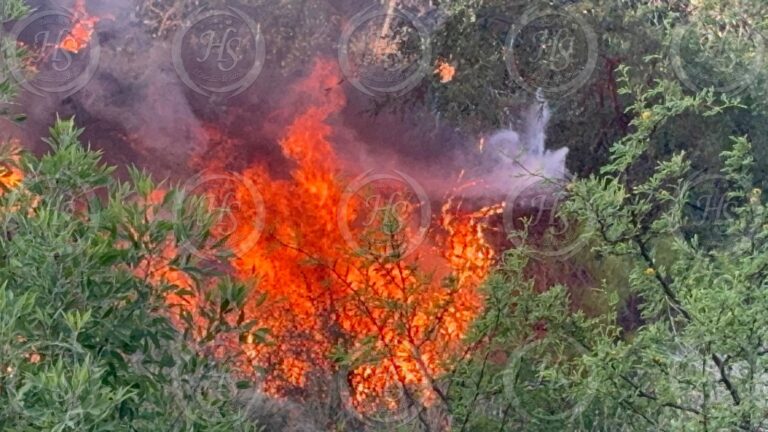 Se incendian tejabanes en la colonia Villa Universidad en Saltillo