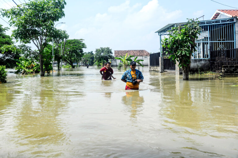 Cinco medidas para reducir el daño al medioambiente