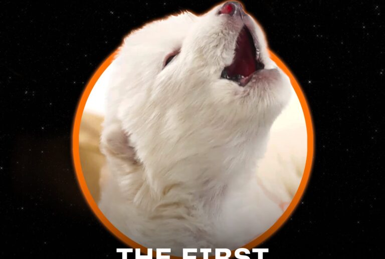 Empresa biotecnológica logra recrear lobos con rasgos de una especie extinta hace 10 mil años