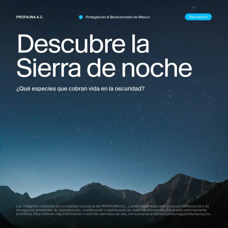 Invitan a disfrutar de recorridos nocturnos en el Cañón de San Lorenzo