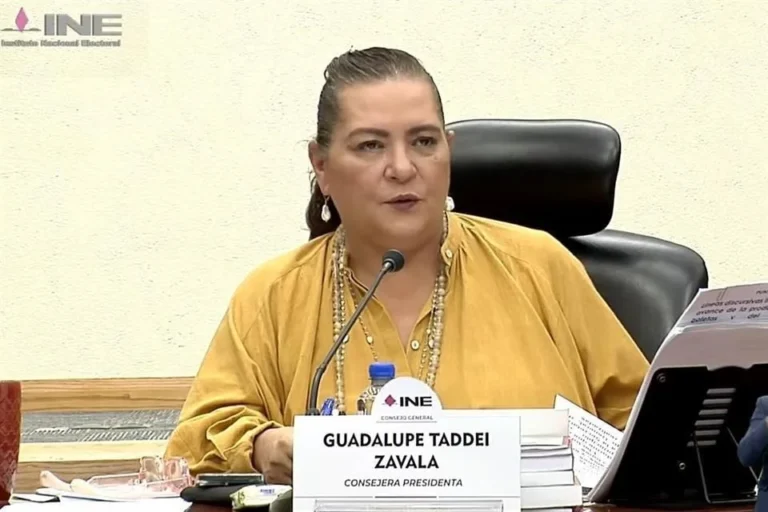 Buscan militantes meterse a elección como observadores