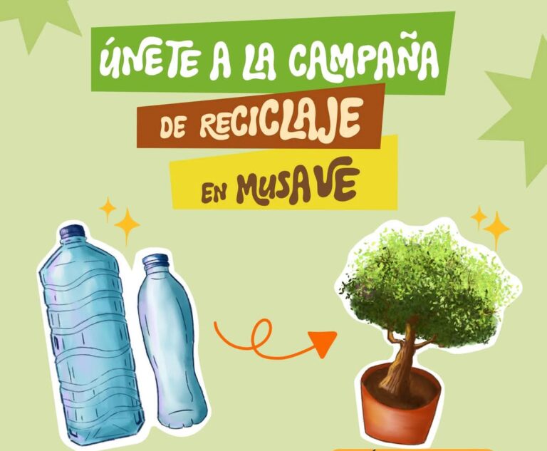 Cambiará MUSAVE botellas de PET por arbolitos este sábado y domingo