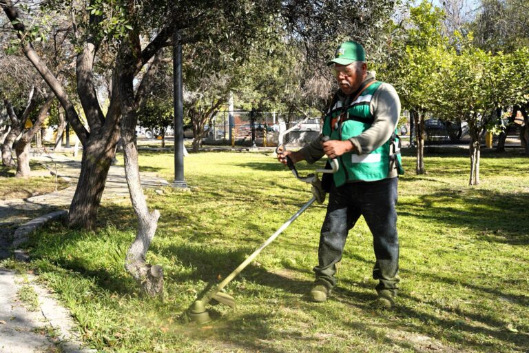 Empleo Temporal, una estrategia que mejora el entorno y apoya a las familias