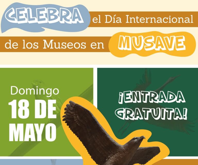Este 18 de mayo habrá entrada gratis al MUSAVE por el Día Internacional de los Museos