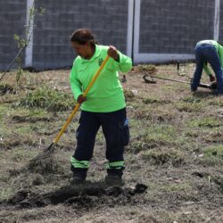 Mejora Gobierno de Saltillo calidad de vida en Las Teresitas5