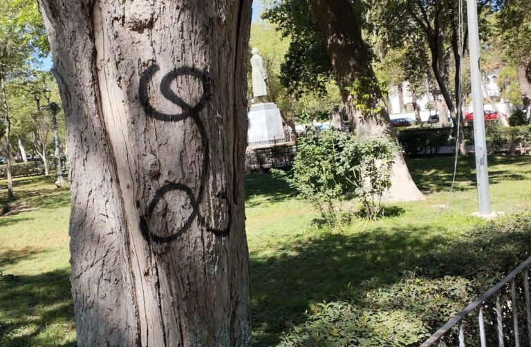 Pega grafiti hasta los árboles de la Alameda de Saltillo