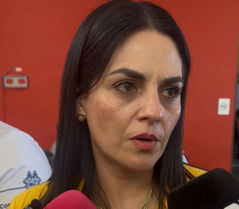 Por dictaminarse modificaciones a Ley de Seguridad Pública de Coahuila: Luz Elena Morales