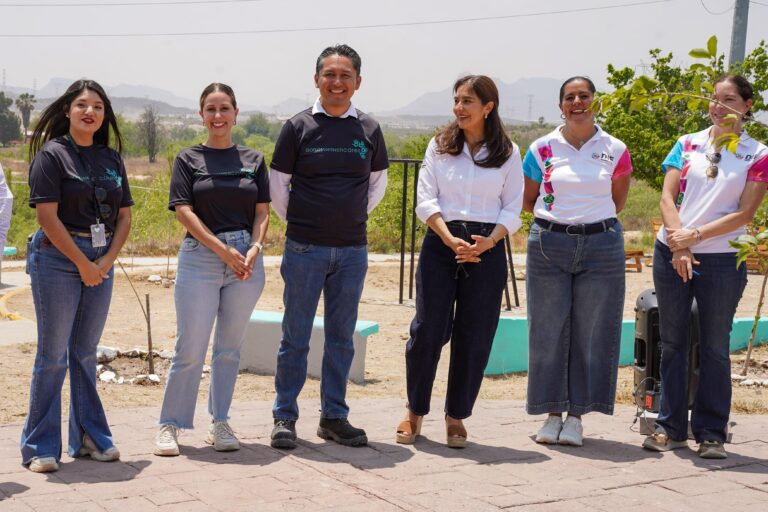 Verde Futuro: Reforestación y rehabilitación en Parajes del Valle