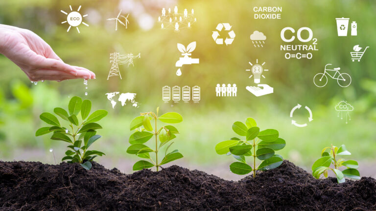 Fabricación Ecológica: Una ventaja competitiva en el mercado mexicano