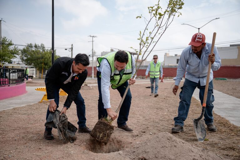 Impulsa Javier Díaz reforestación y mantenimiento de espacios públicos