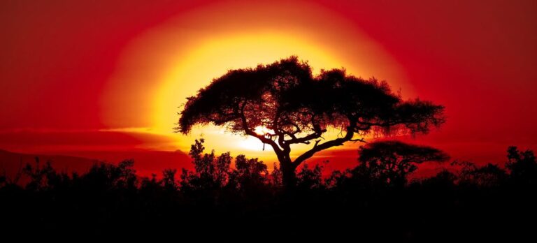 Las predicciones climáticas anticipan temperaturas récord en los próximos cinco años