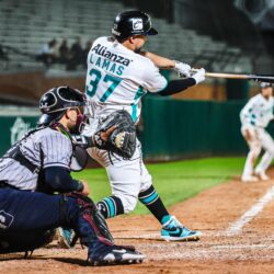 saraperos y algodoneros 3