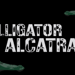 Captura de pantalla 2025-06-20 133044