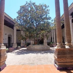 Casa de la Cultura de Saltillo6