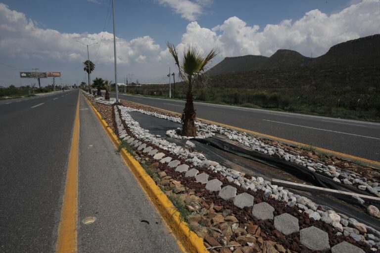 Embellece Javier Díaz entrada poniente de Saltillo